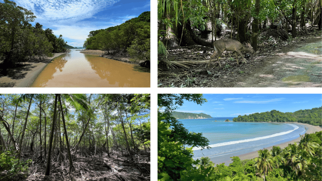 Mon road trip en campervan au Costa Rica : 4 jours de liberté dans le Guanacaste