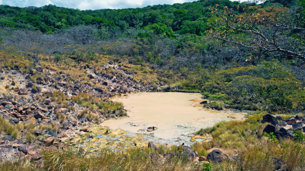 Parc national du Rincón de la Vieja : une escapade incontournable pour les voyageurs au Costa Rica