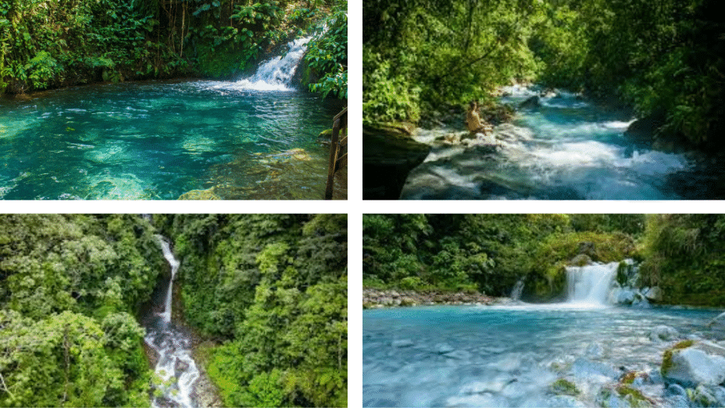 Parc national du Rincón de la Vieja : une escapade incontournable pour les voyageurs au Costa Rica