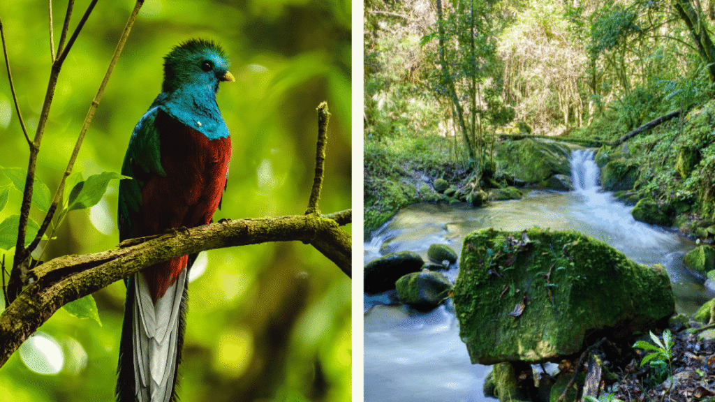 San Gerardo de Dota : guide complet pour explorer cette vallée secrète du Costa Rica