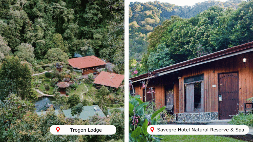San Gerardo de Dota : guide complet pour explorer cette vallée secrète du Costa Rica