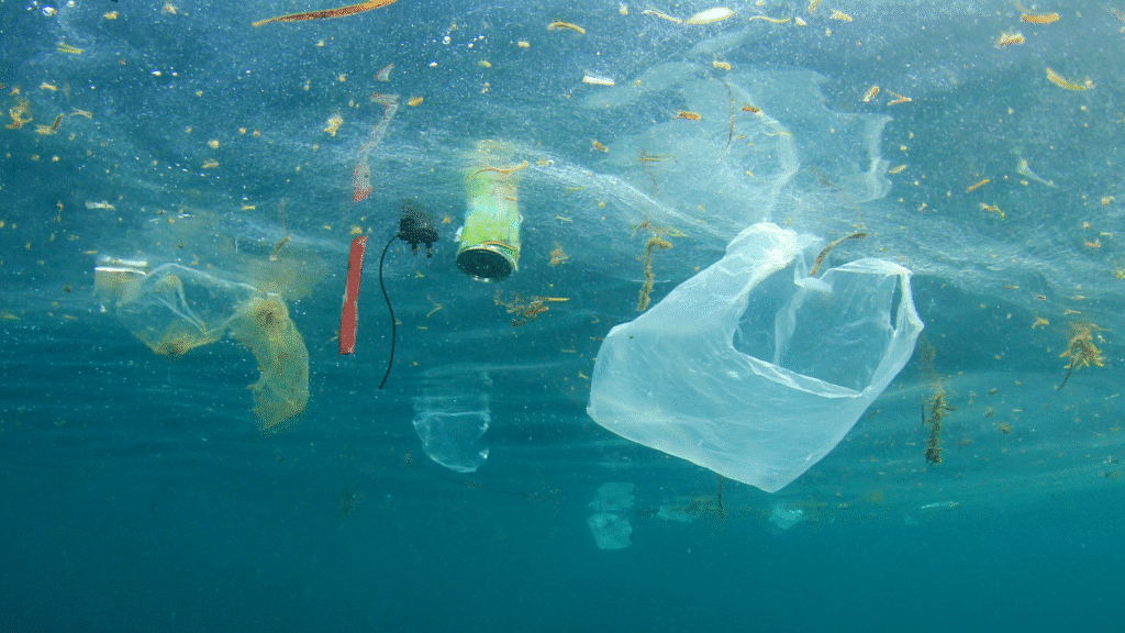 Protection des océans en Amérique : vers une alliance des pays du continent