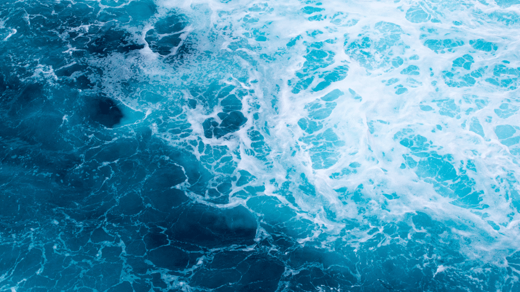 Protection des océans en Amérique : vers une alliance des pays du continent