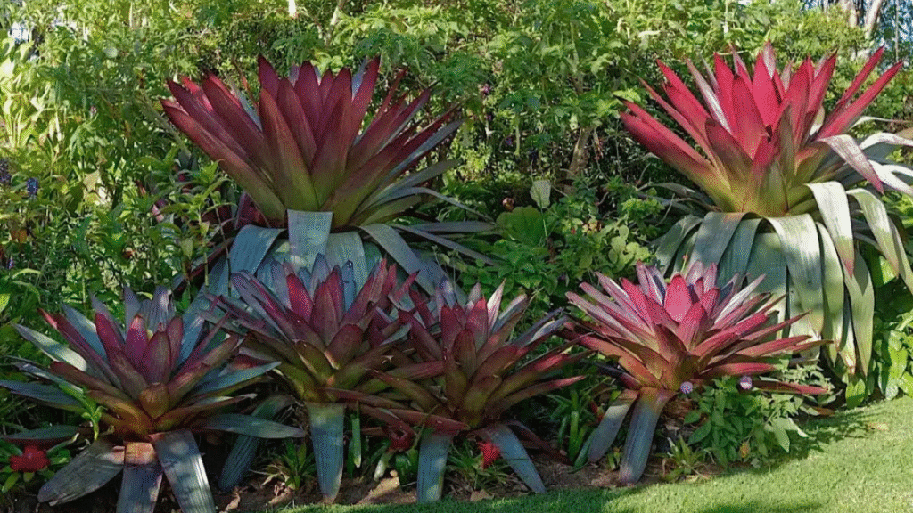 Un voyage fleuri : les 10 fleurs du Costa Rica à ne pas manquer