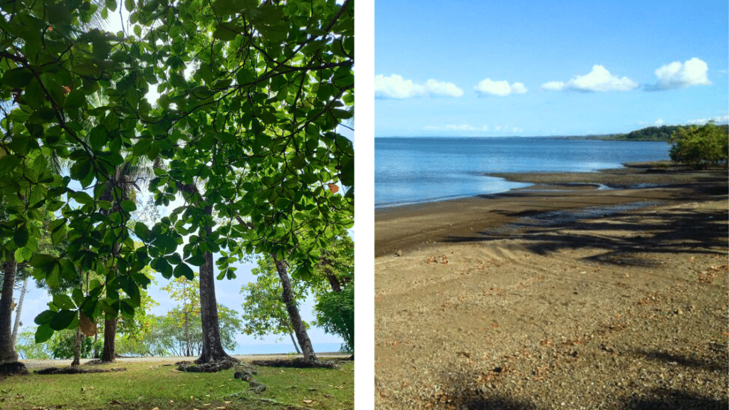 playa blanca puerto jimenez costarica vertcostarica. 1 1