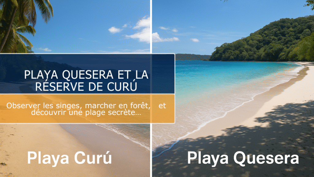 Réserve de Curú et Playa Quesera : l’aventure nature entre mer turquoise et forêt tropicale