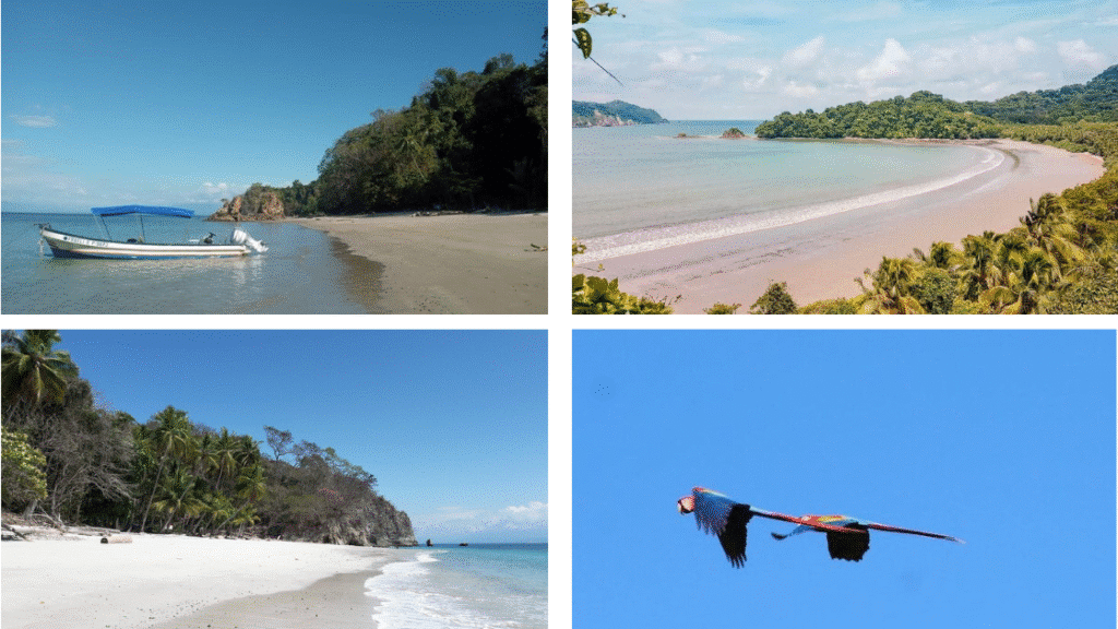 Playa Quesera Réserve de Curú l’aventure nature entre mer turquoise et forêt tropicale