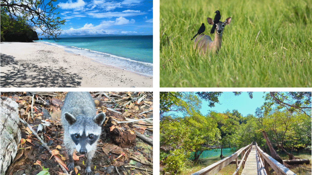 Playa Quesera Réserve de Curú l’aventure nature entre mer turquoise et forêt tropicale