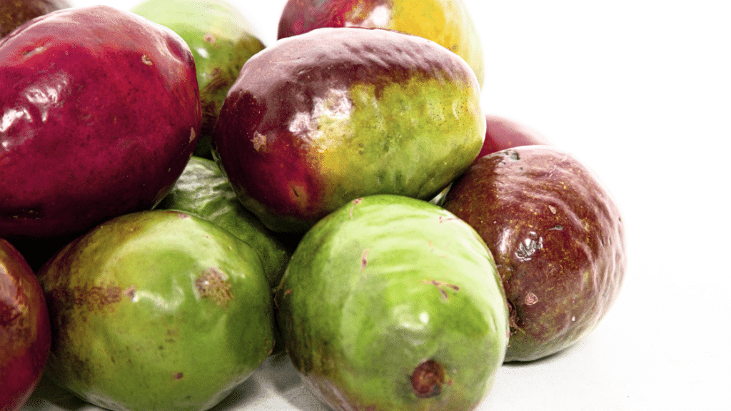 Le Jocote : Un fruit costaricien aux saveurs intenses