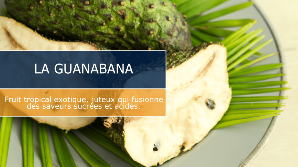 La Guanabana: Un trésor Tropical du Costa Rica à Découvrir