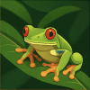 Témoignage client – Voyage au Costa Rica avec Vert Costa Rica