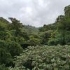 Photo de voyage au Costa Rica envoyée par Annick Et Régis avec son témoignage