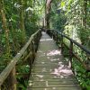 Photo de voyage au Costa Rica envoyée par François avec son témoignage